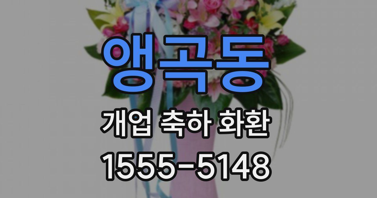 앵곡동 개업 축하 화환
