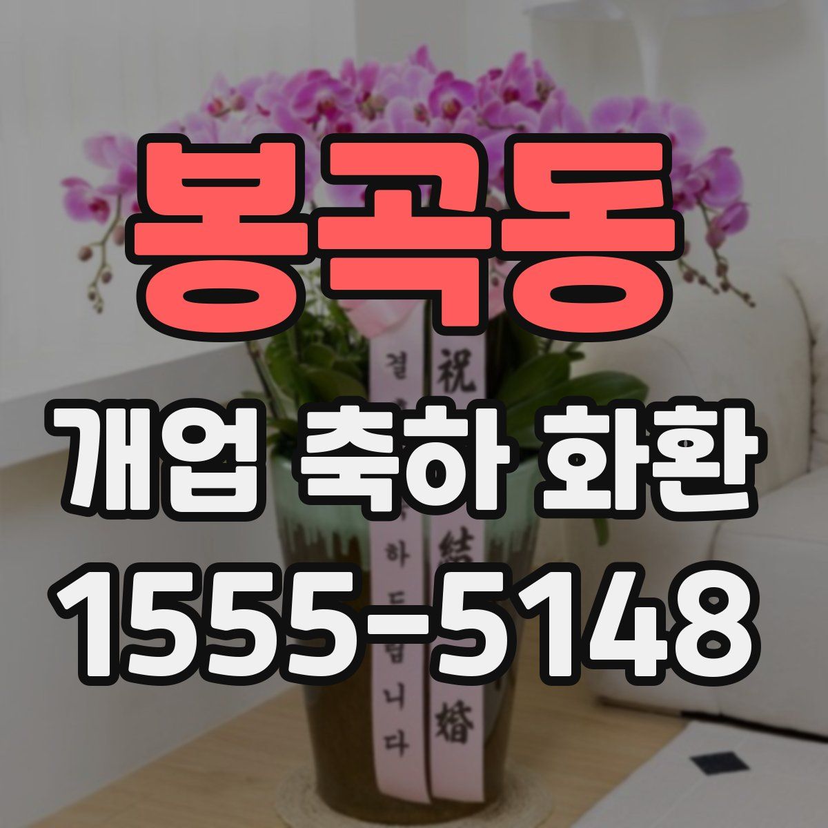 봉곡동 개업 축하 화환