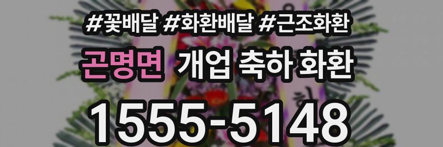 곤명면 개업 축하 화환