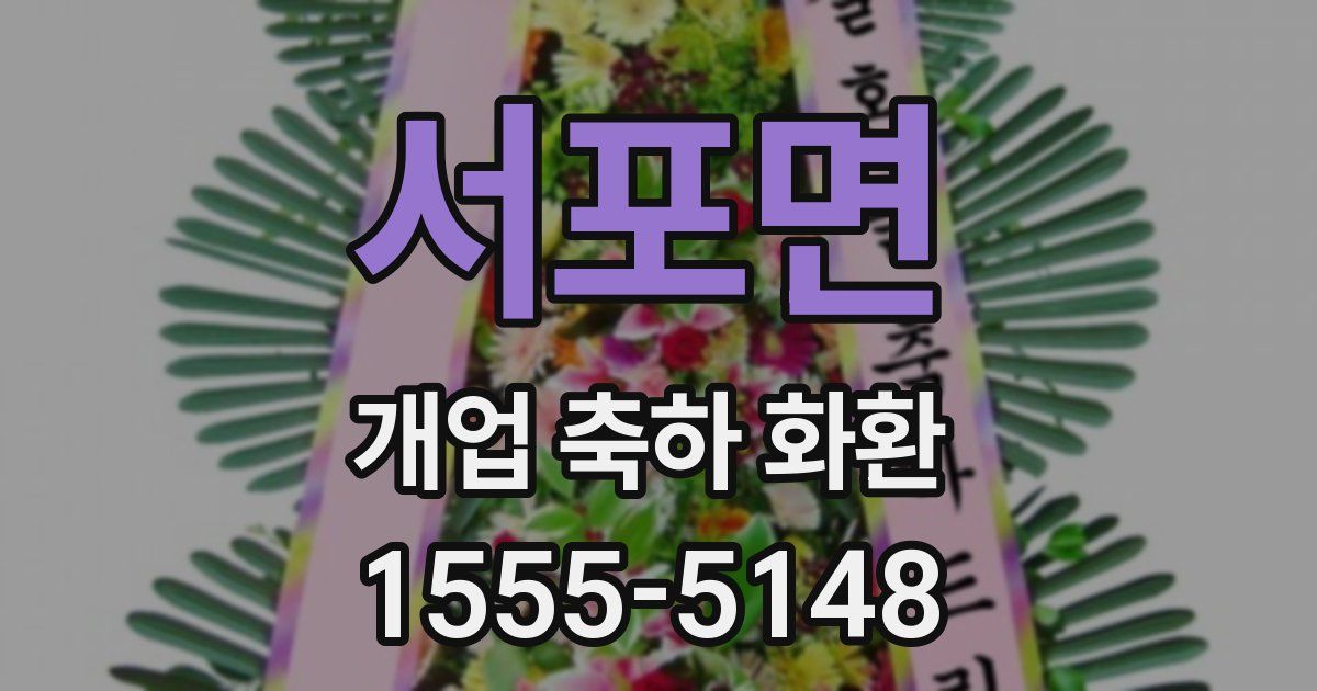 서포면 개업 축하 화환