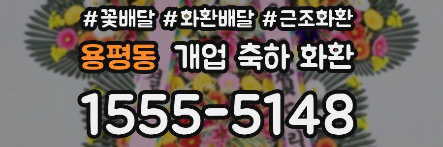 용평동 개업 축하 화환