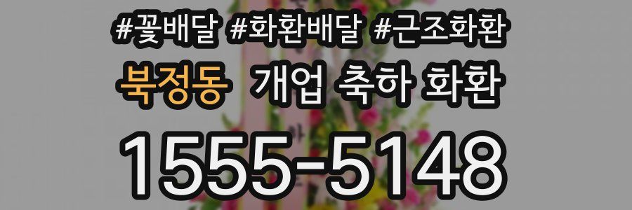 북정동 개업 축하 화환