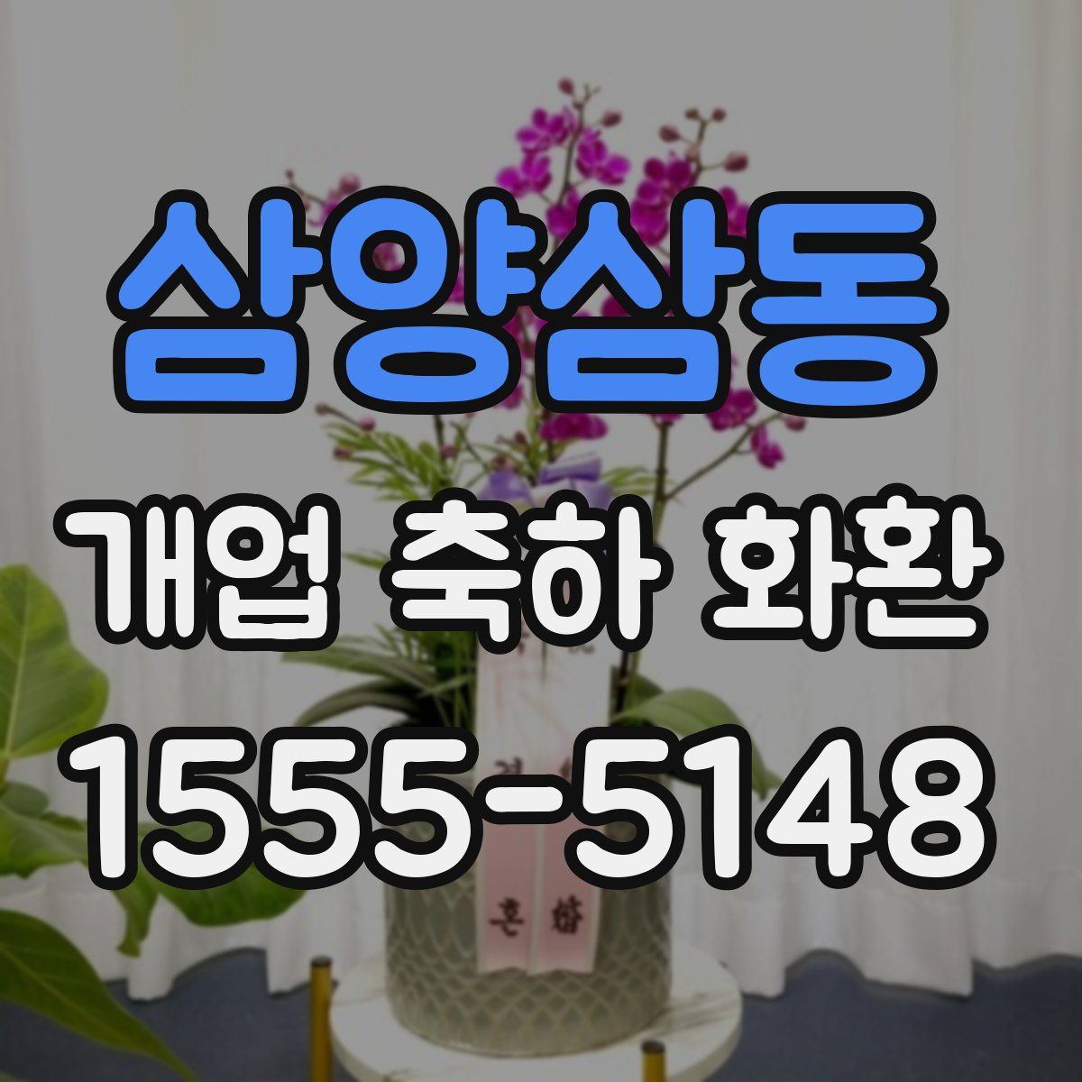 삼양삼동 개업 축하 화환