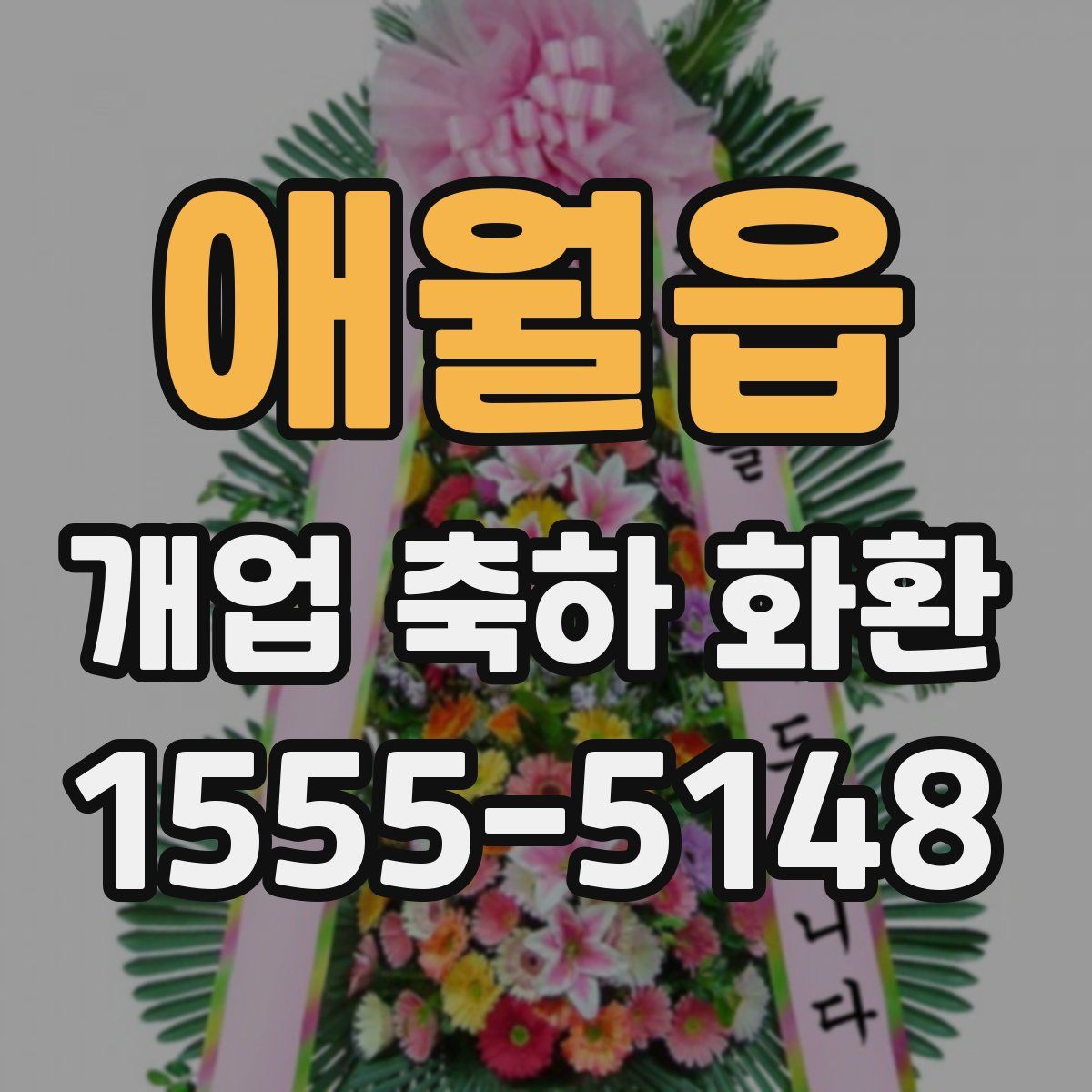 애월읍 개업 축하 화환