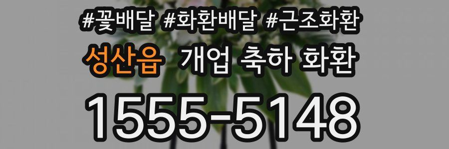 성산읍 개업 축하 화환