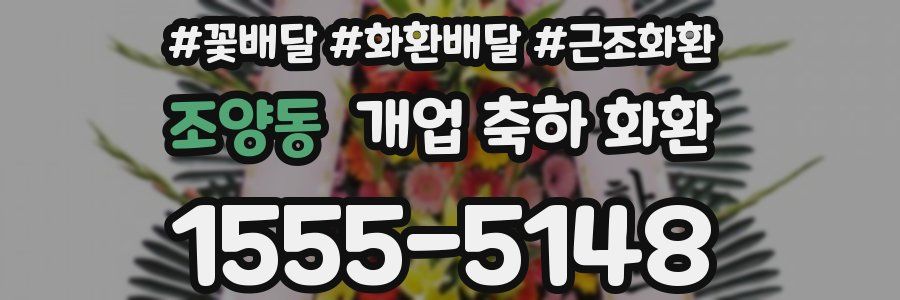 조양동 개업 축하 화환