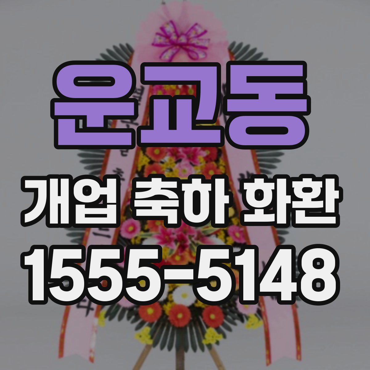 운교동 개업 축하 화환