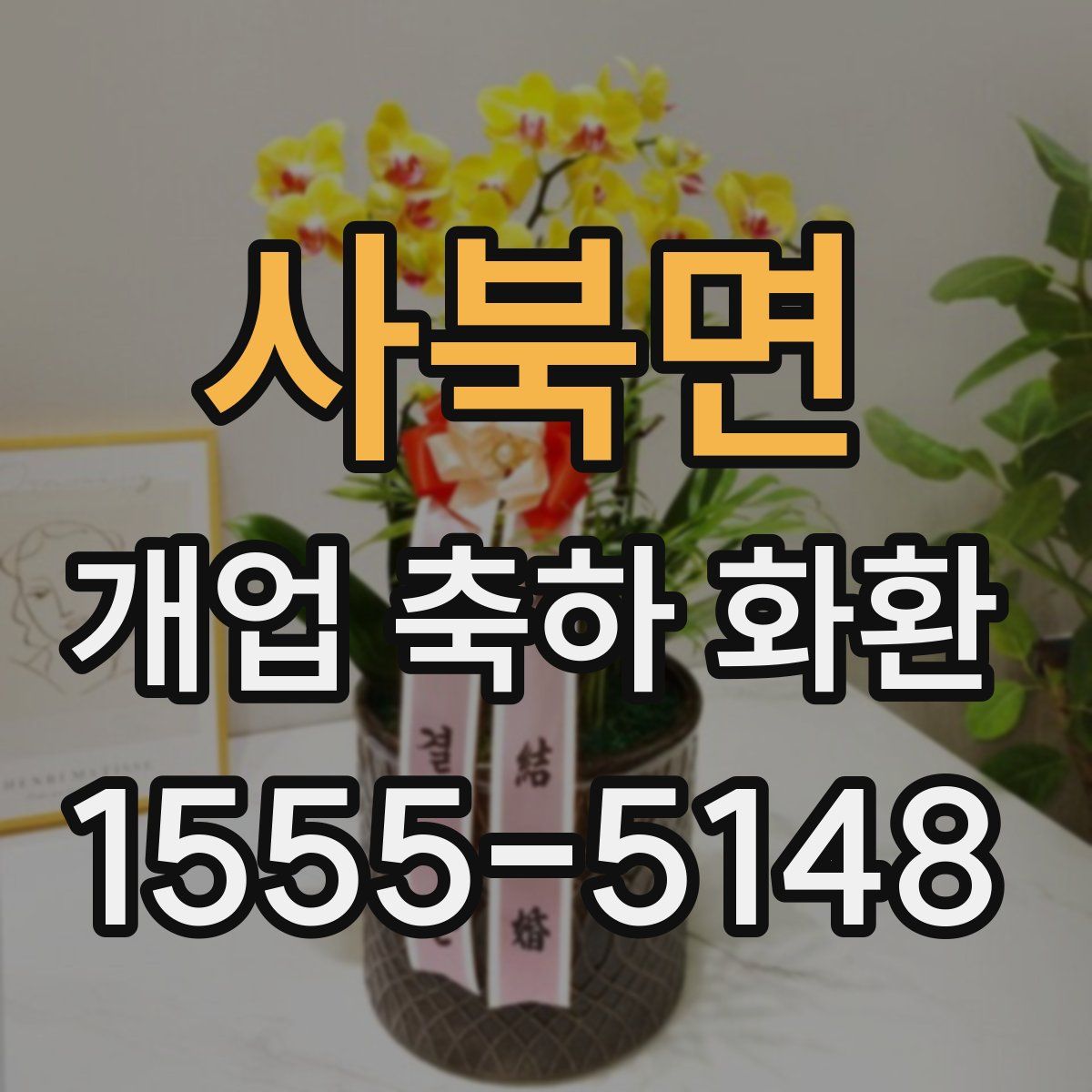 사북면 개업 축하 화환
