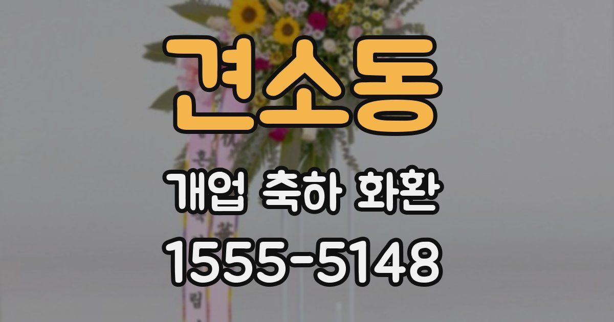 견소동 개업 축하 화환
