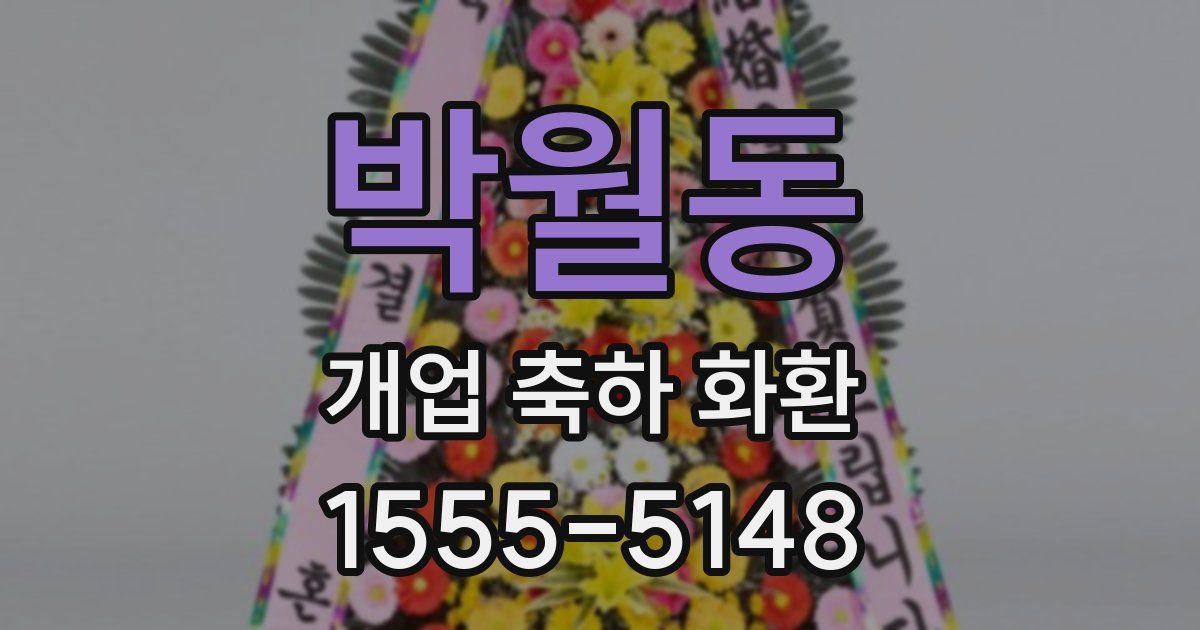 박월동 개업 축하 화환