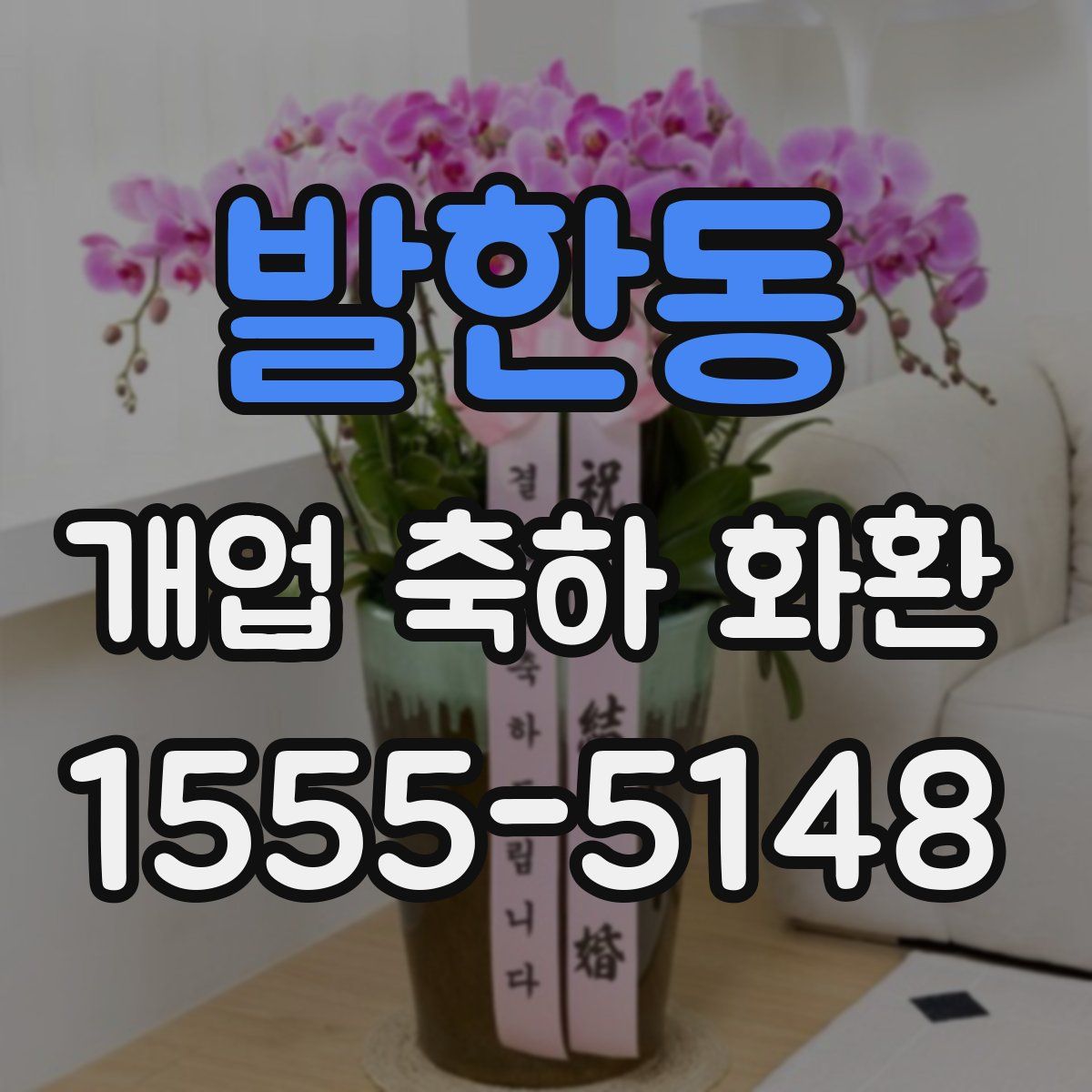 발한동 개업 축하 화환