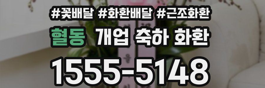 혈동 개업 축하 화환