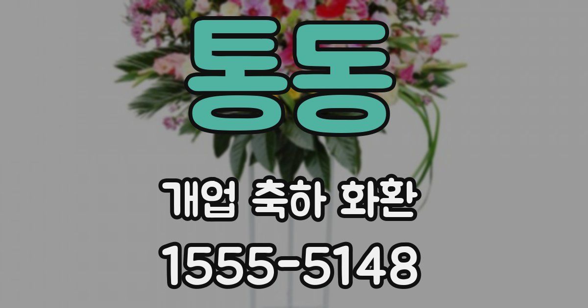 통동 개업 축하 화환