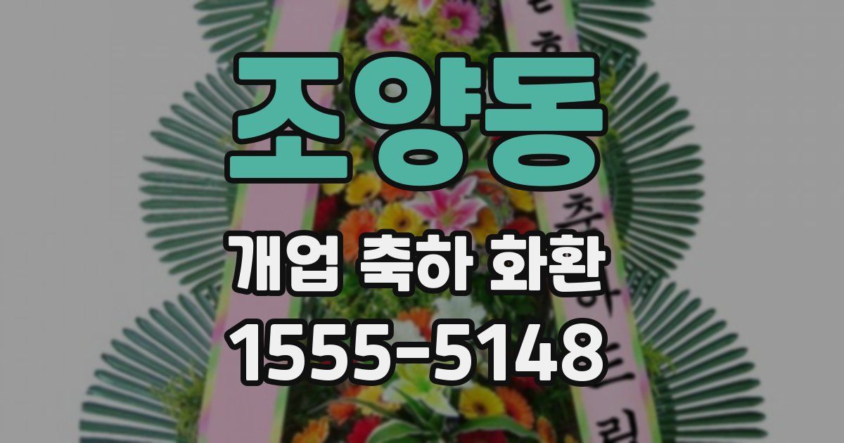 조양동 개업 축하 화환