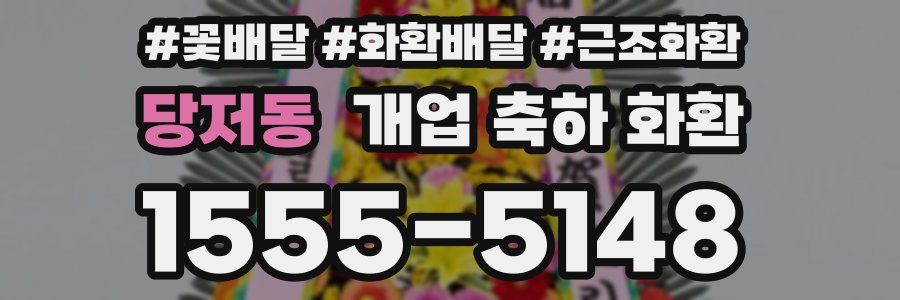 당저동 개업 축하 화환