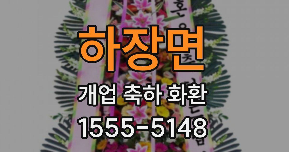 하장면 개업 축하 화환