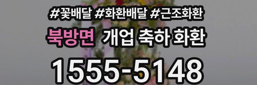 북방면 개업 축하 화환