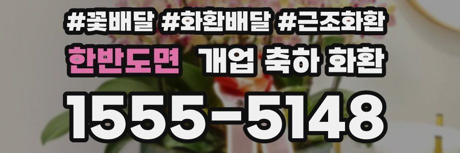 한반도면 개업 축하 화환