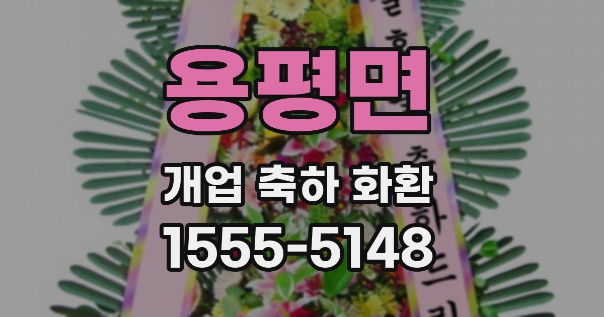 용평면 개업 축하 화환