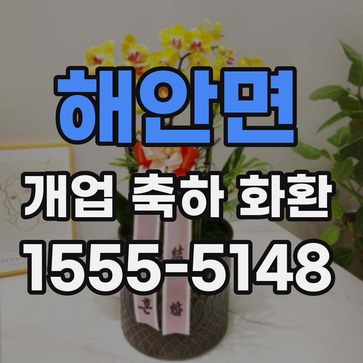 해안면 개업 축하 화환