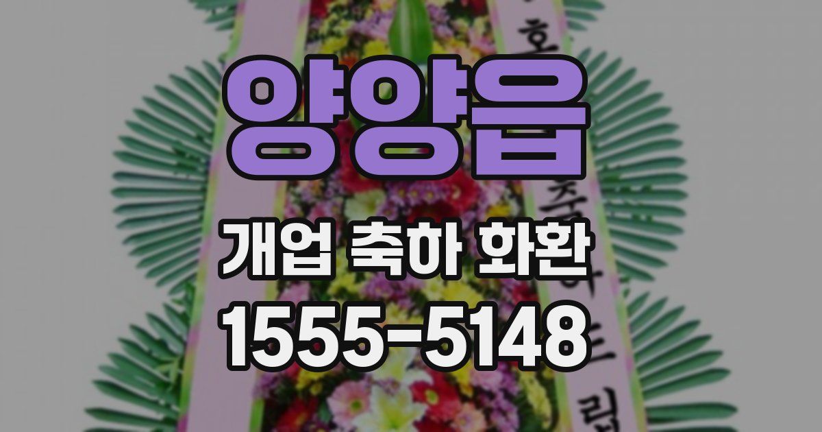 양양읍 개업 축하 화환