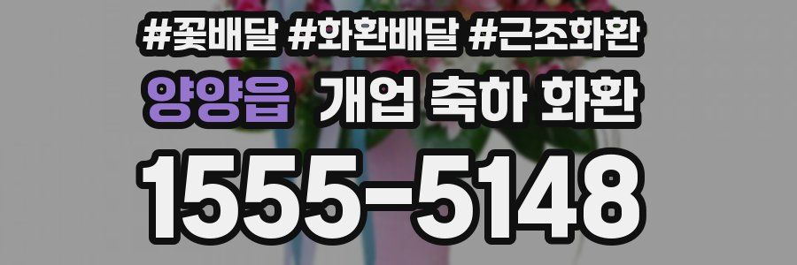 양양읍 개업 축하 화환