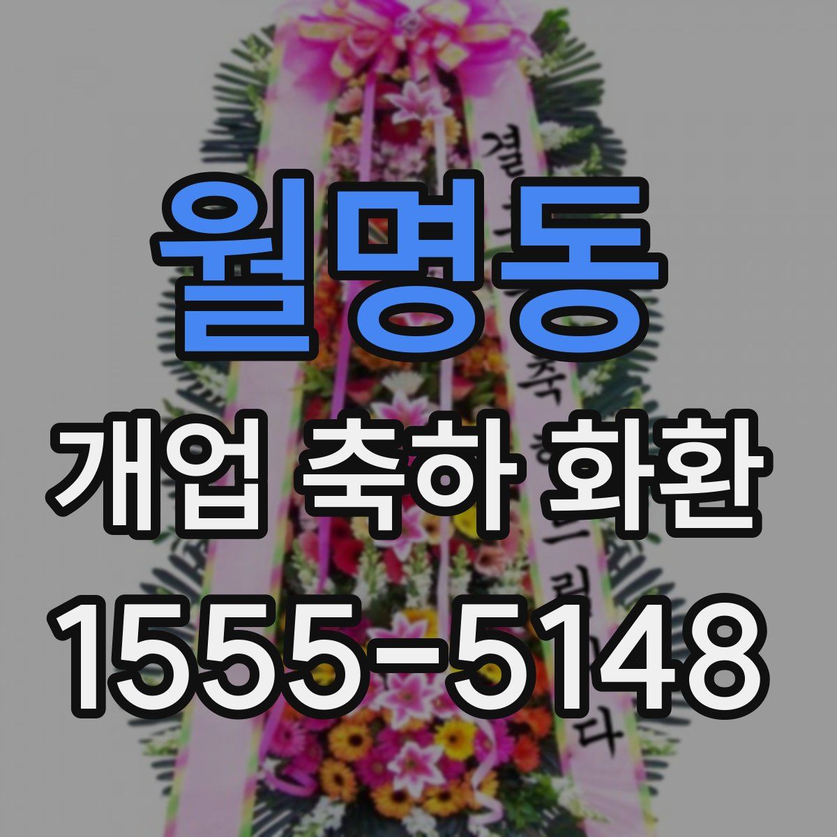 월명동 개업 축하 화환