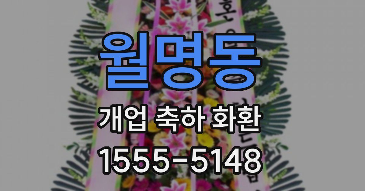 월명동 개업 축하 화환