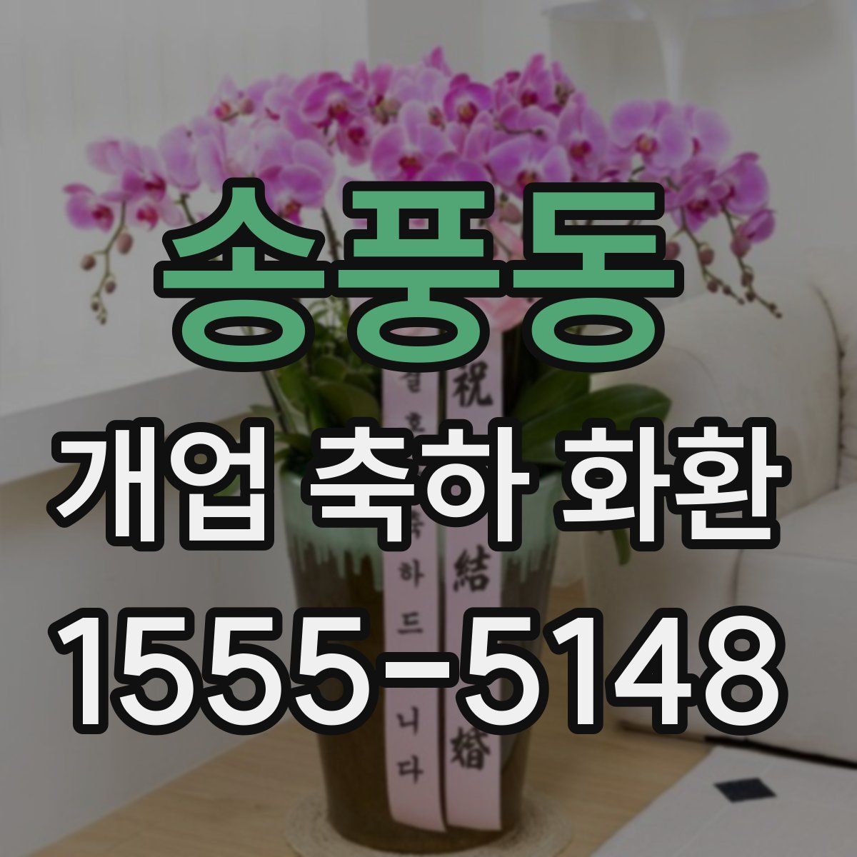 송풍동 개업 축하 화환