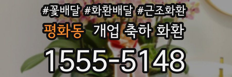 평화동 개업 축하 화환