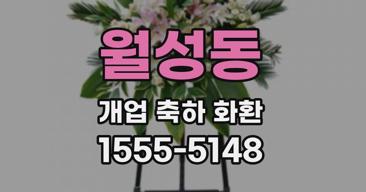 월성동 개업 축하 화환