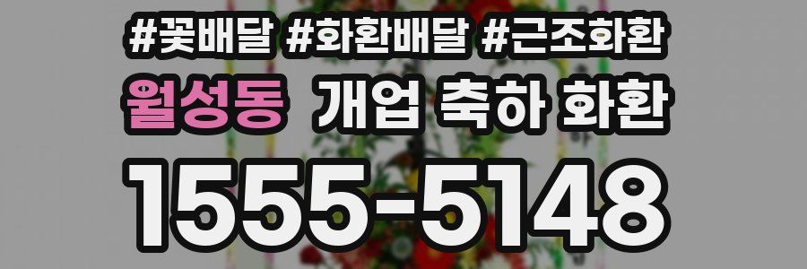 월성동 개업 축하 화환
