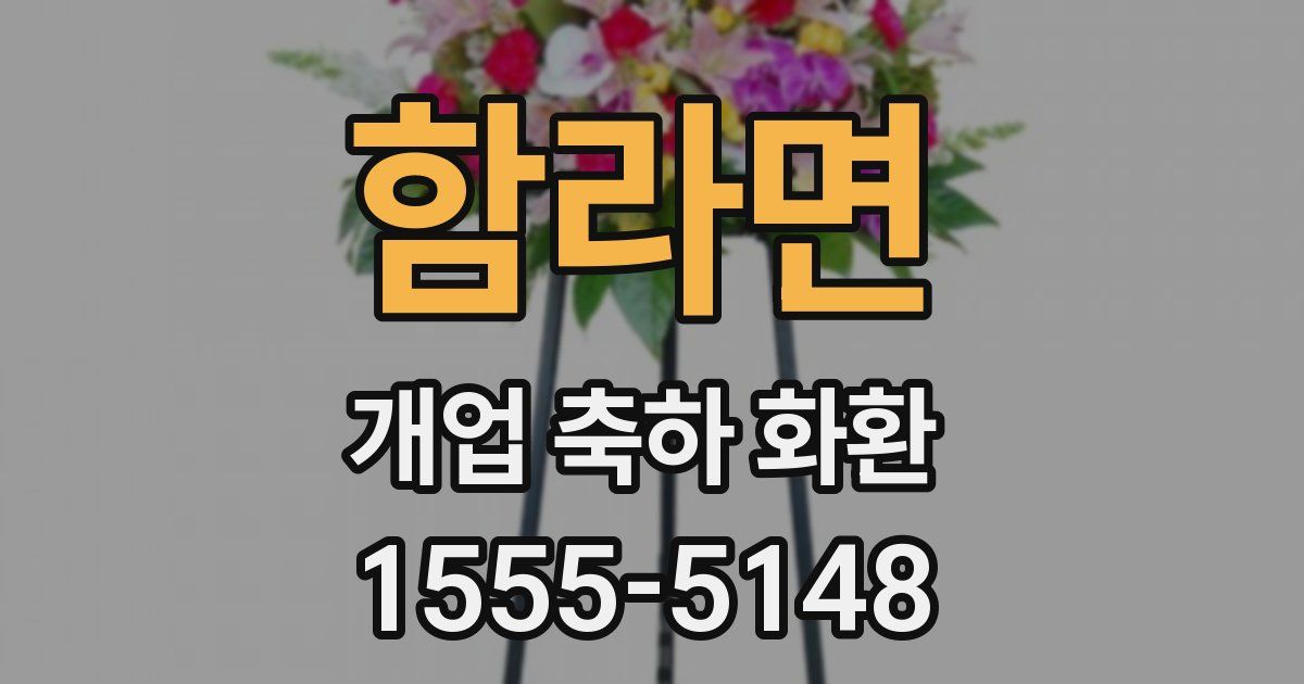 함라면 개업 축하 화환