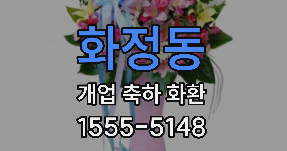 화정동 개업 축하 화환
