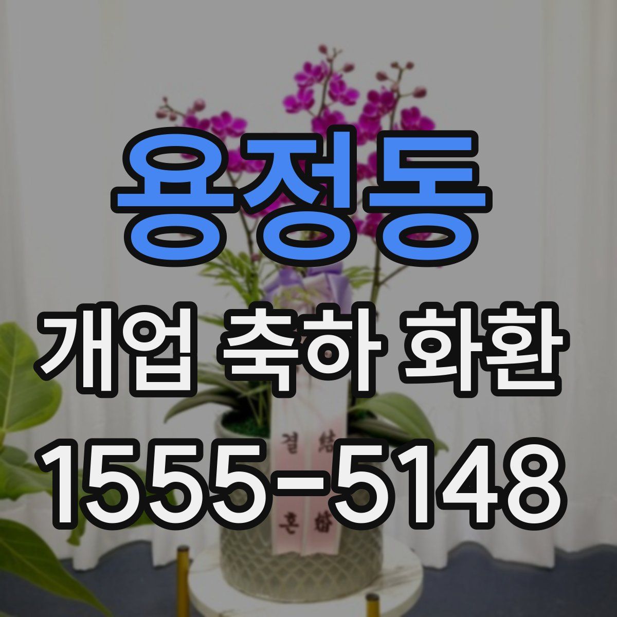 용정동 개업 축하 화환