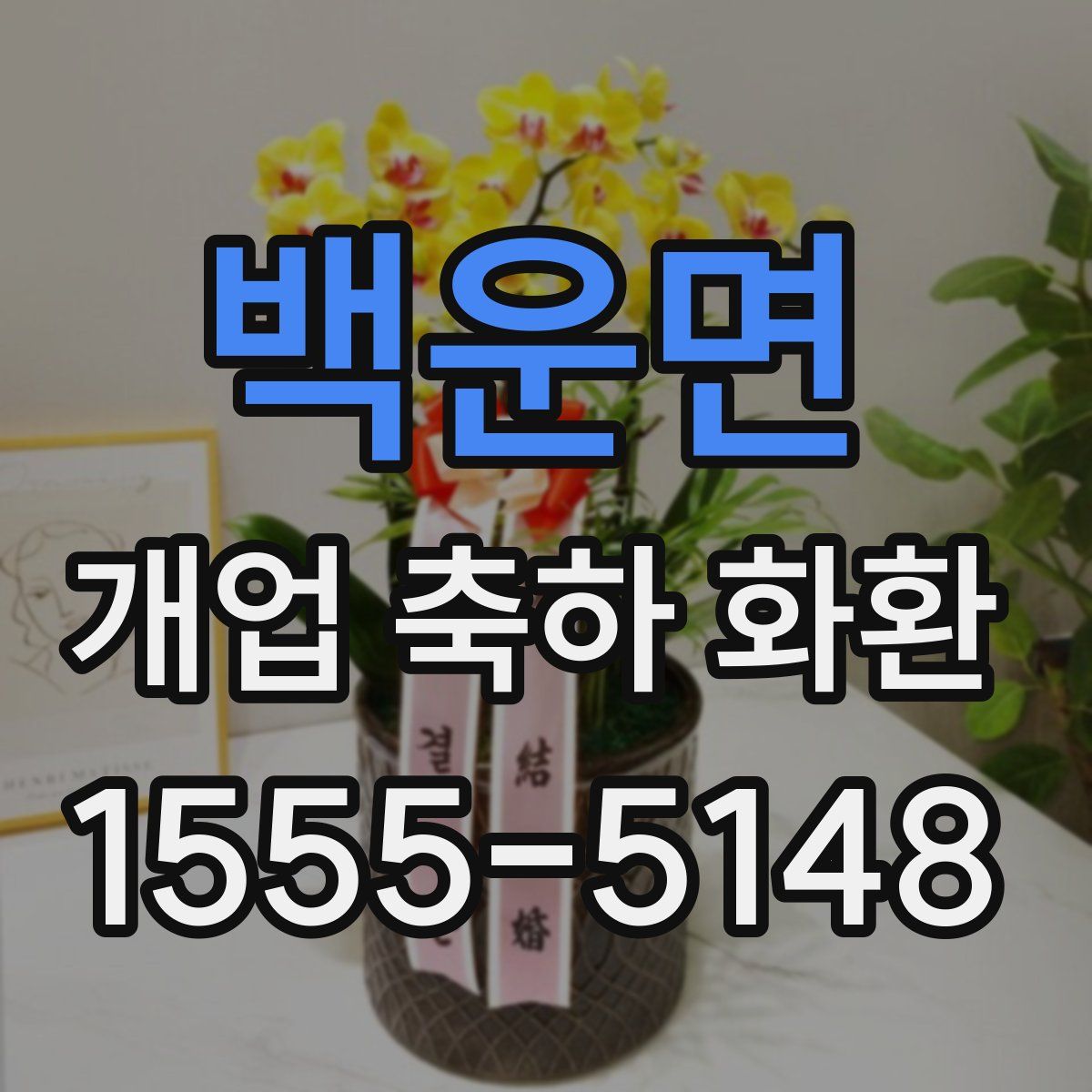 백운면 개업 축하 화환