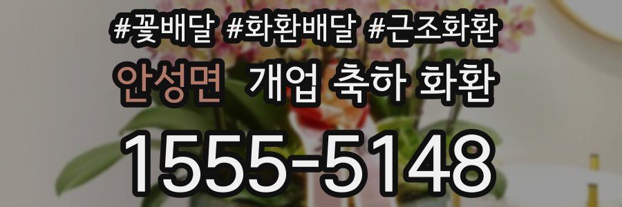 안성면 개업 축하 화환