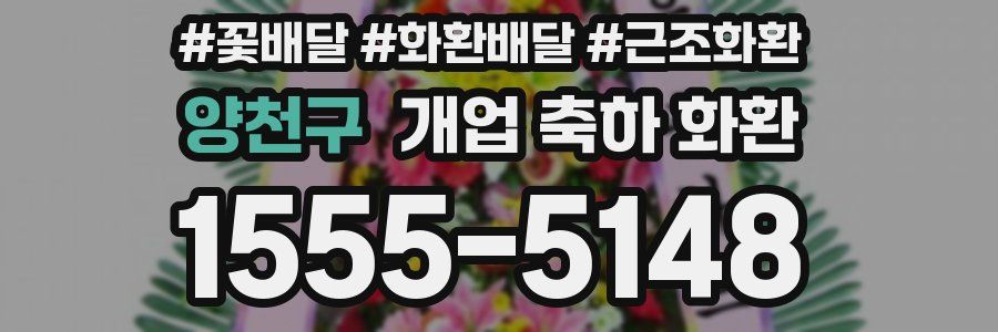 양천구 개업 축하 화환