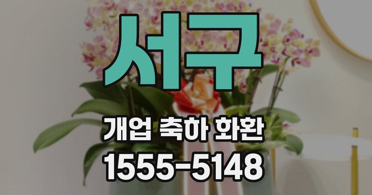 서구 개업 축하 화환
