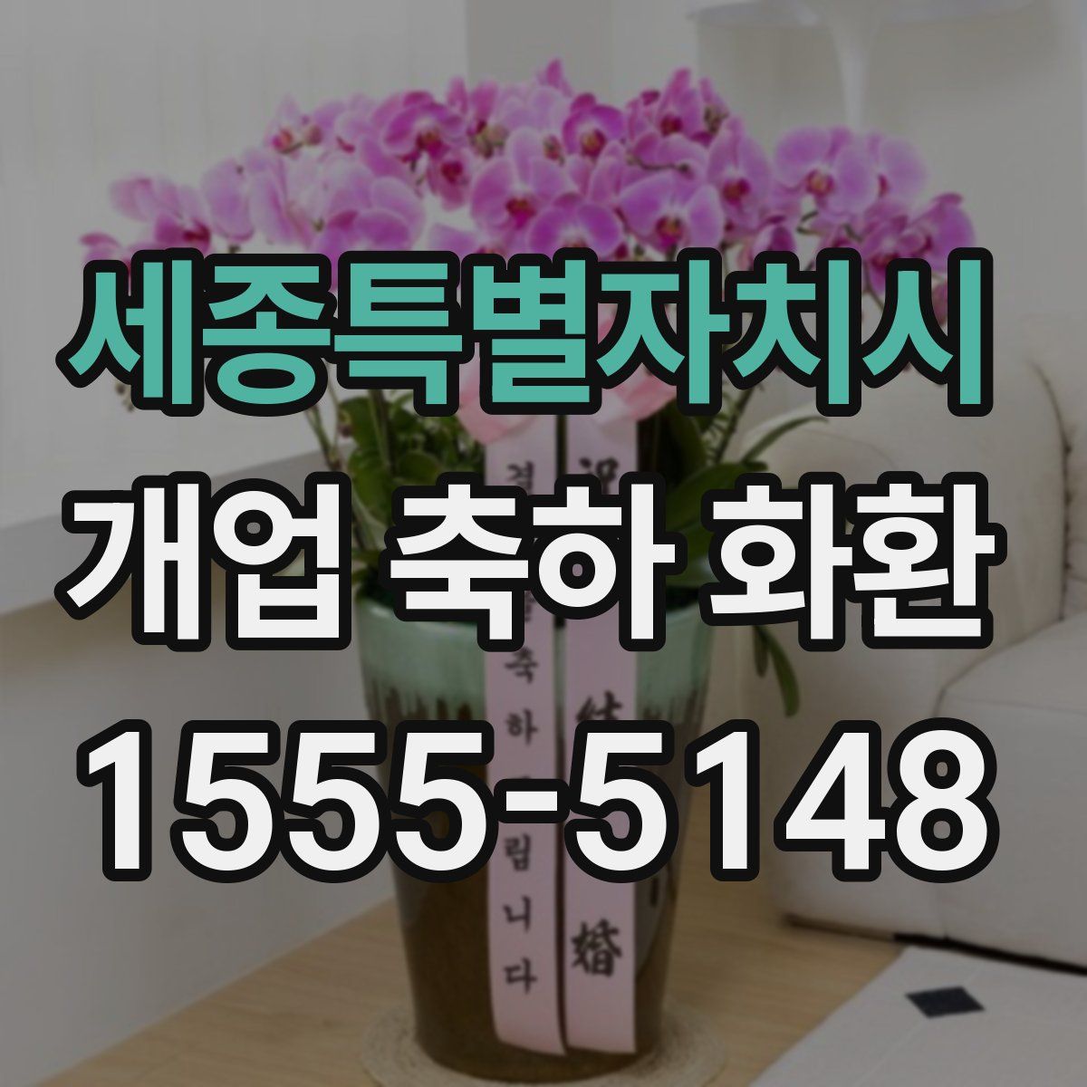세종특별자치시 개업 축하 화환