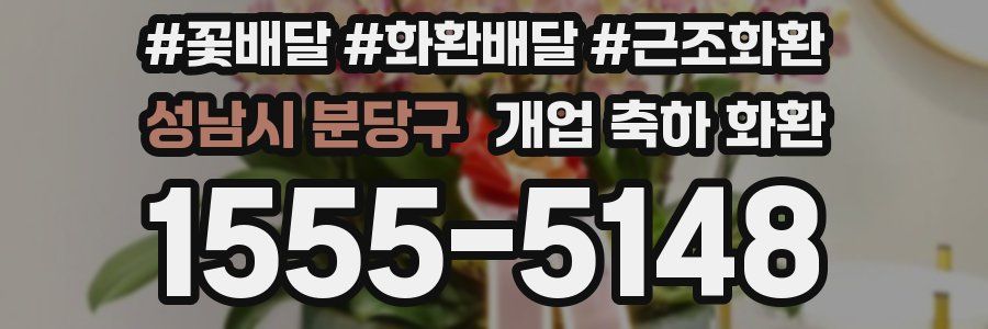 성남시 분당구 개업 축하 화환