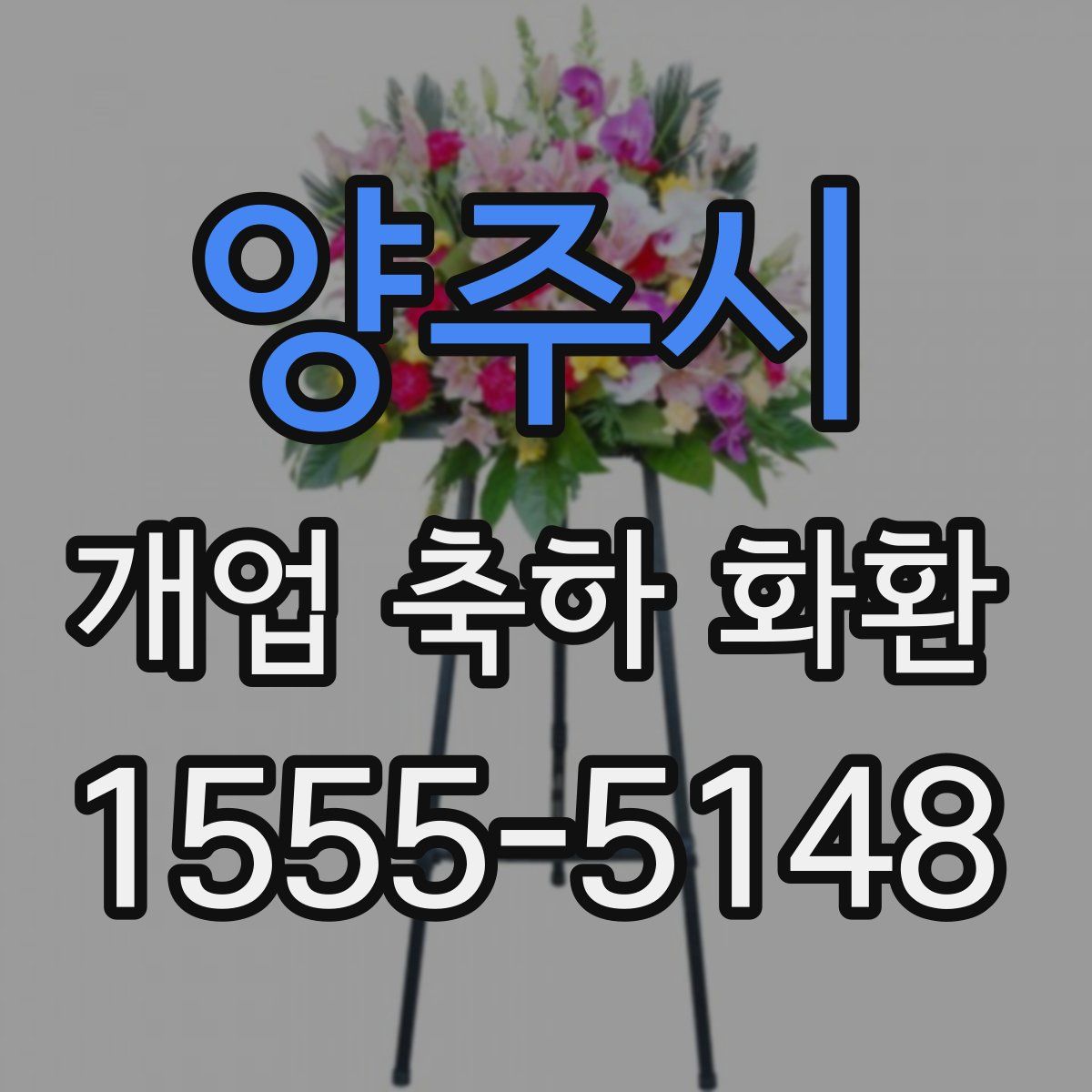 양주시 개업 축하 화환