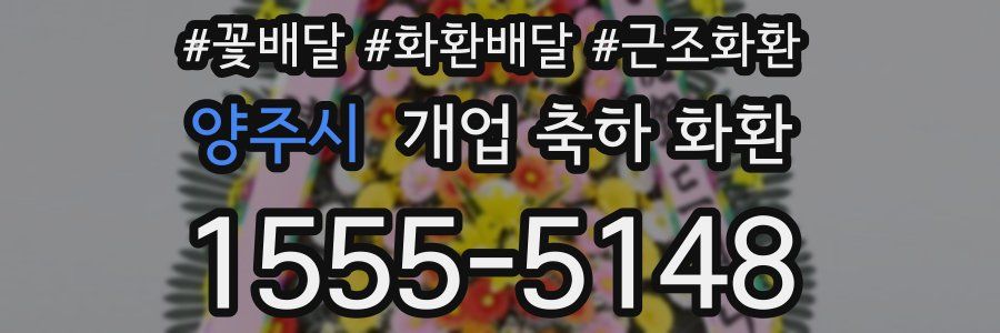양주시 개업 축하 화환