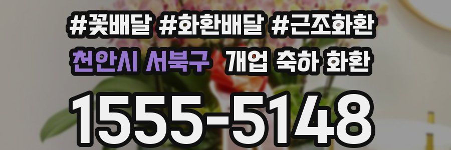 천안시 서북구 개업 축하 화환
