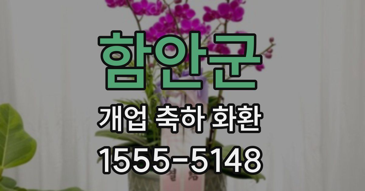 함안군 개업 축하 화환