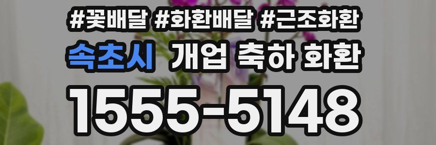 속초시 개업 축하 화환