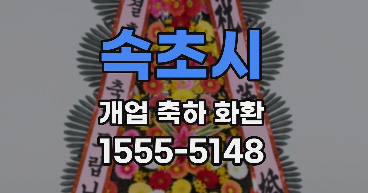 속초시 개업 축하 화환