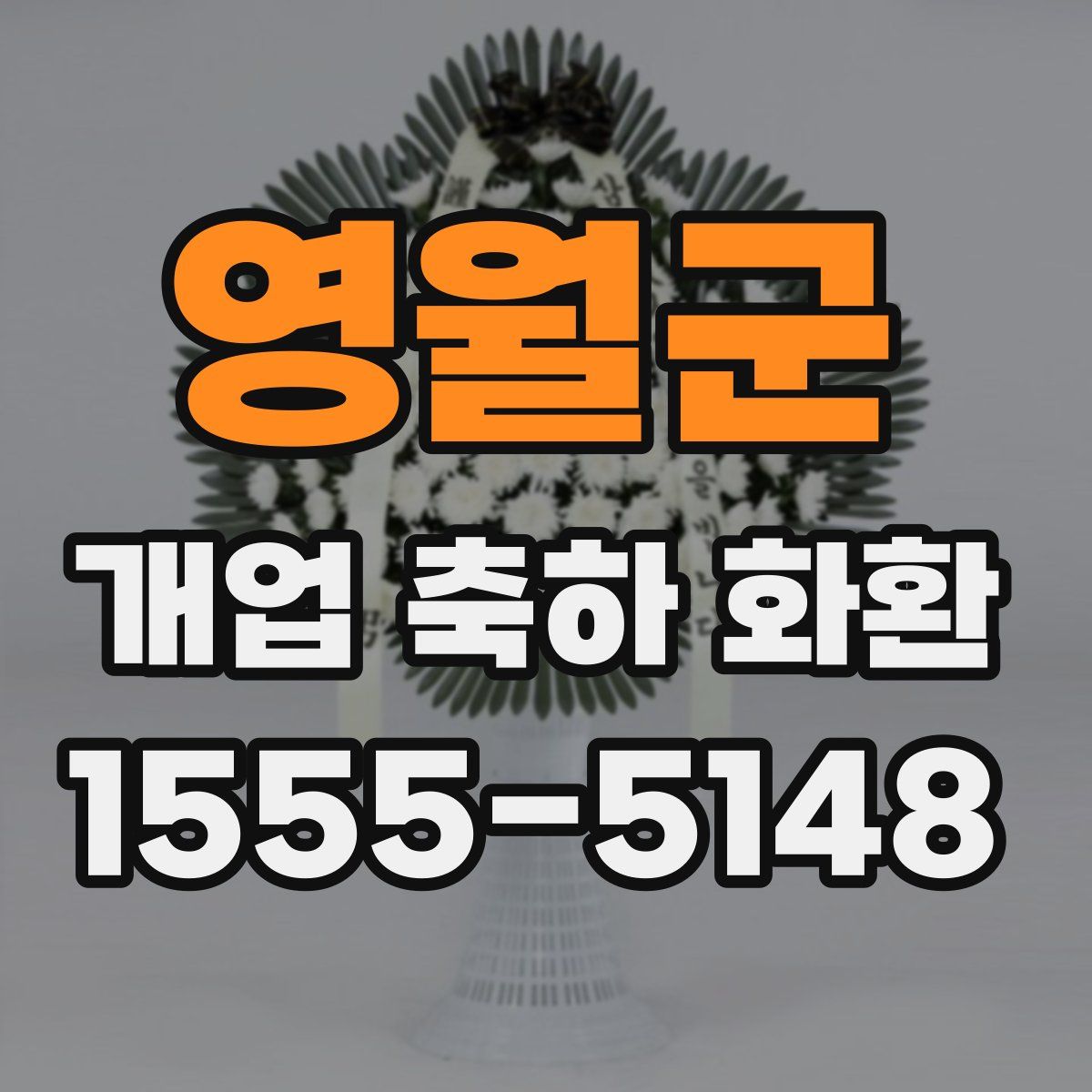 영월군 개업 축하 화환