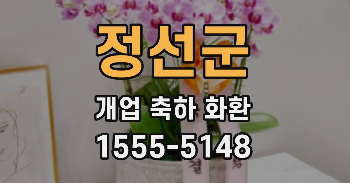 정선군 개업 축하 화환