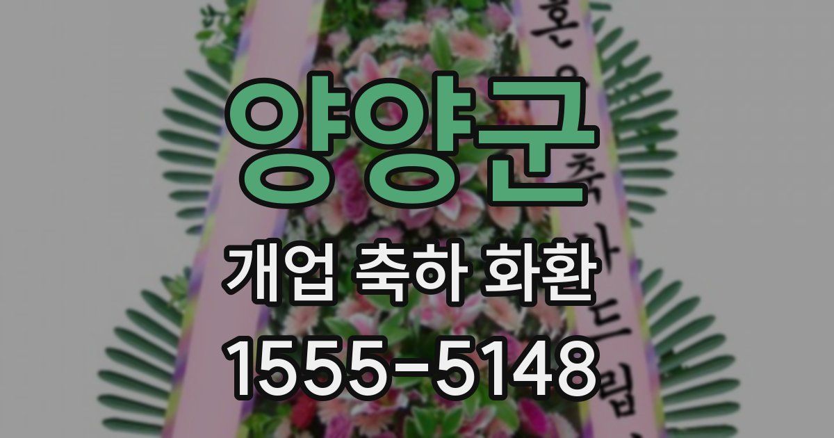 양양군 개업 축하 화환